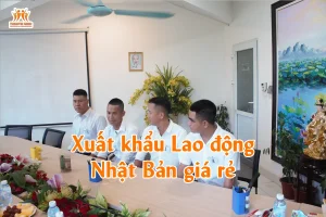 Xuất khẩu Lao động Nhật Bản giá rẻ