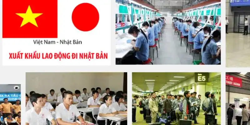 Xuất khẩu lao động nhật bản tại Hà Nội uy tín tại TOKUTEIGINO
