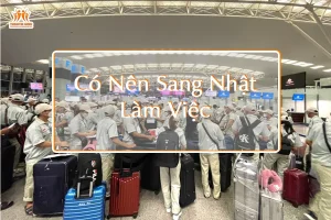 Có Nên Sang Nhật Làm Việc