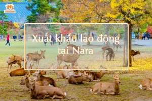 Xuất khẩu lao động tại Nara