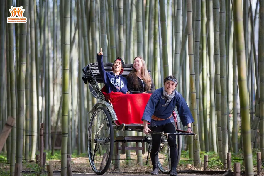 Rừng trúc Arashiyama
