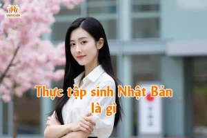 Thực tập sinh Nhật Bản là gì