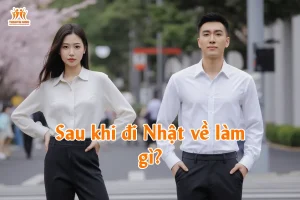 Sau khi đi Nhật về làm gì