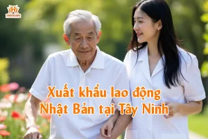 Xuất khẩu lao động Nhật Bản tại Tây Ninh
