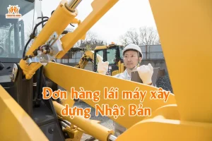 Đơn hàng lái máy xây dựng Nhật Bản