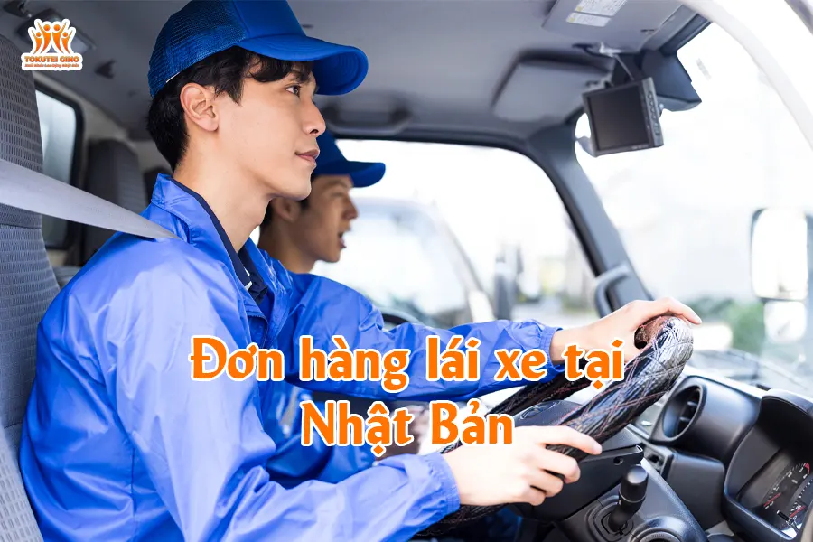 Đơn hàng lái xe tại Nhật Bản