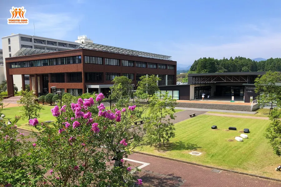 Đại học Miyazaki