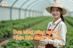 Đơn hàng nông nghiệp Nhật Bản dành cho nữ