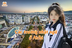 Các trường nhật ngữ ở Aichi