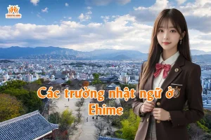 Các trường nhật ngữ ở Ehime
