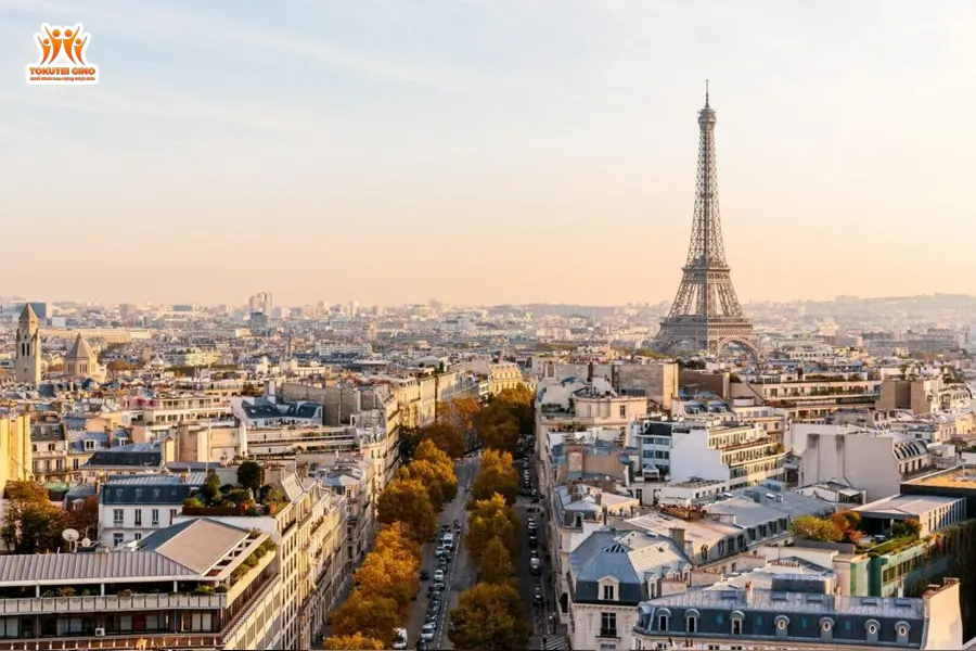 Chi phí xuất khẩu lao động châu Âu