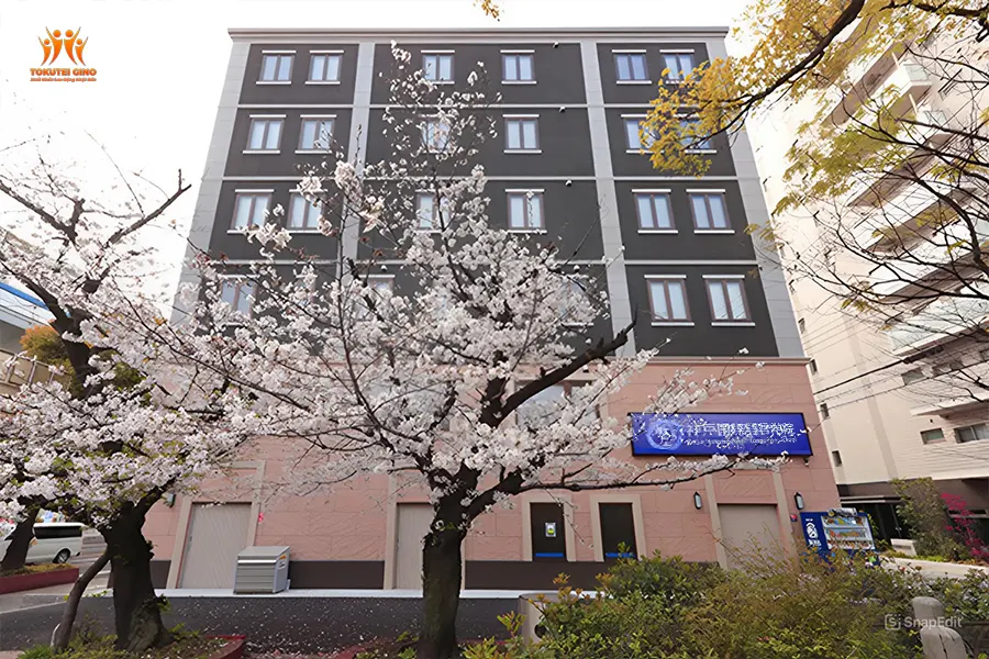 Kobe International Language School (KILS)