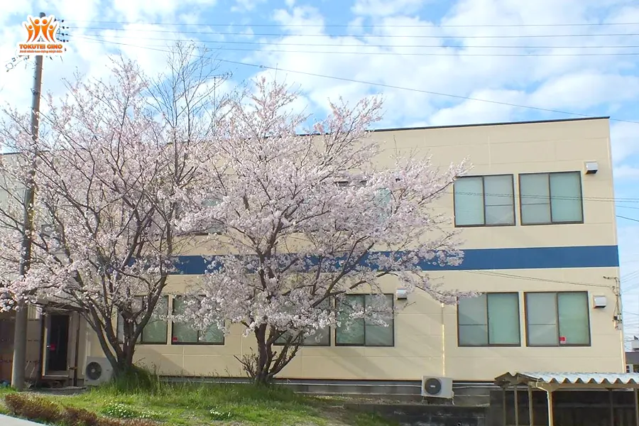 Shizuoka International Language School