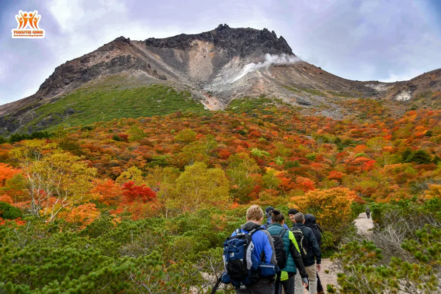 trải nghiệm Công viên quốc gia Nikko