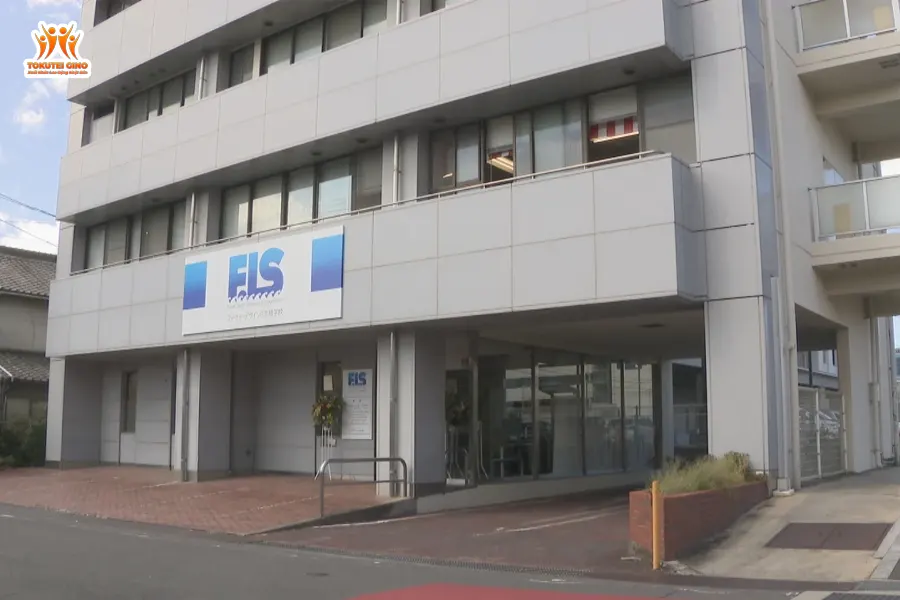 フューチャーデザイン日本語学校 (Future Design Japanese School)