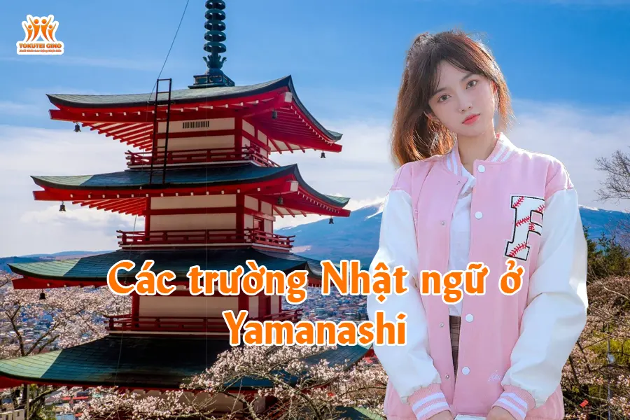 Các trường Nhật ngữ ở Yamanashi