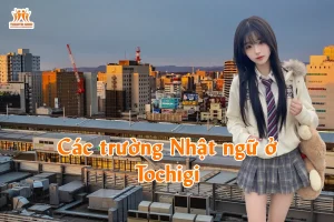 Các trường Nhật ngữ ở Tochigi