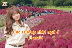Các trường nhật ngữ ở Ibaraki