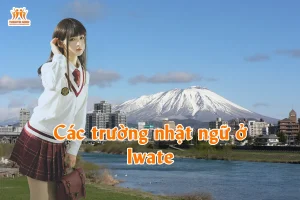 Các trường nhật ngữ ở Iwate