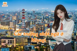 Các trường nhật ngữ ở Miyagi