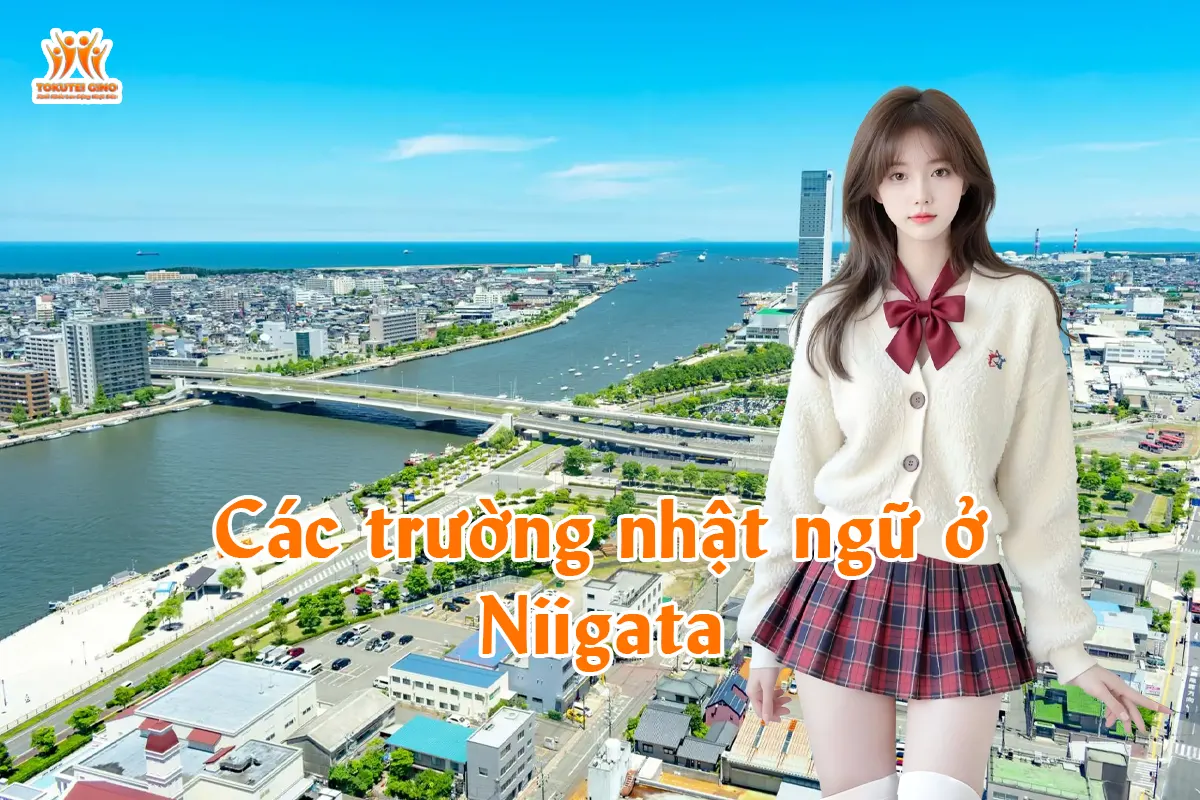 Các trường nhật ngữ ở Niigata
