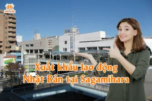 Xuất khẩu lao động Nhật Bản tại Sagamihara