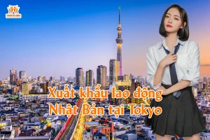 Xuất khẩu lao động Nhật Bản tại Tokyo