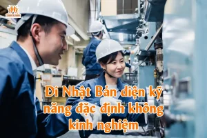 Đi Nhật Bản diện kỹ năng đặc định không kinh nghiệm