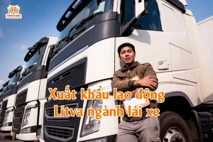 Xuất khẩu lao động Litva ngành lái xe