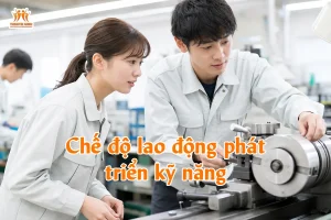 Chế độ lao động phát triển kỹ năng