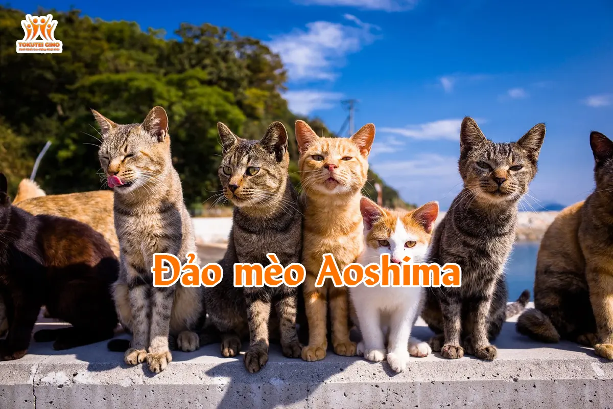 Đảo mèo Aoshima