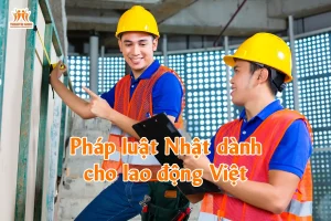 Pháp luật Nhật dành cho lao động Việt