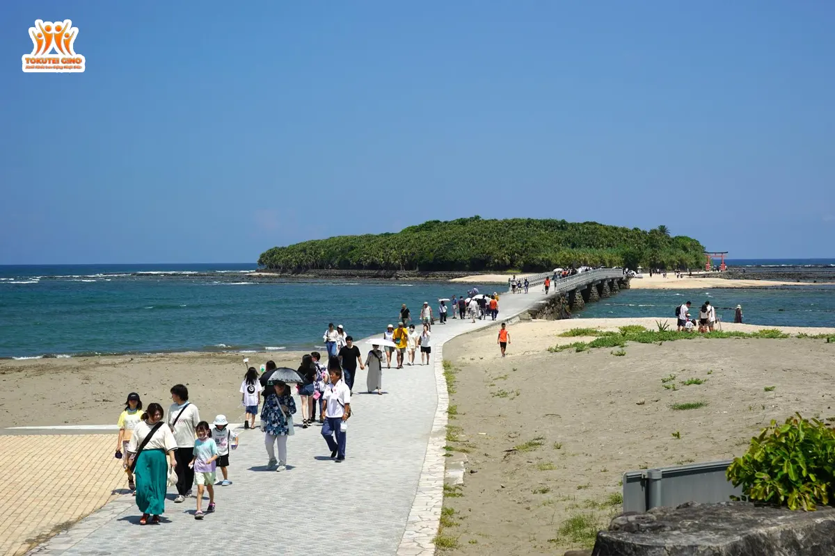 du lịch đảo mèo